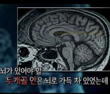 단무지 tweet media