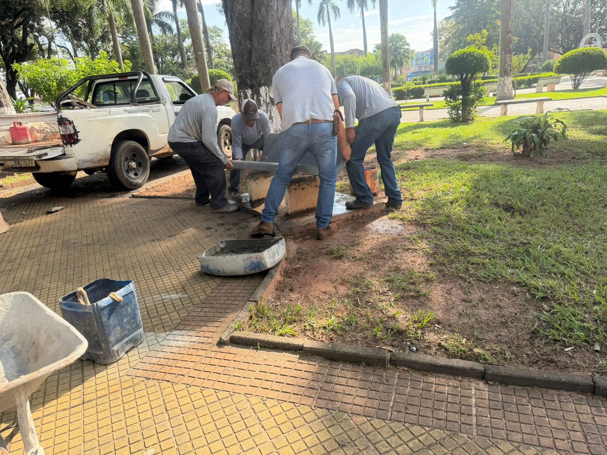 marceloindaniel's tweet photo. Foram podar uns galhos de uma árvore centenária e um deles caiu e rachou uma banqueta de concreto estampada com meu site. Contei um pouco da trama pique Vorcaro de vida e morte do meu banco aqui https://t.co/NyjeEcpY1U https://t.co/oT1FemMvla
