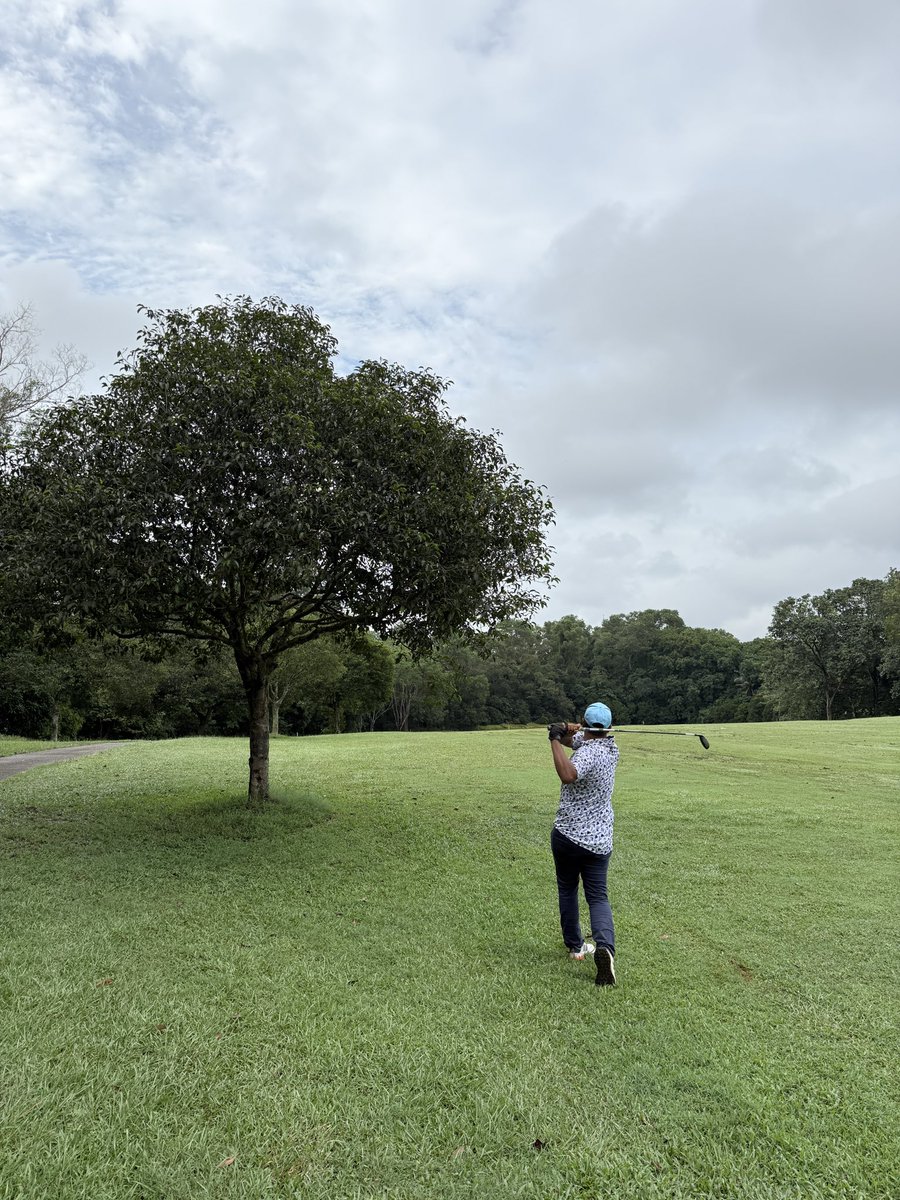 thealchemshit's tweet photo. golf kecil kecilan https://t.co/M6MiWy6S2b
