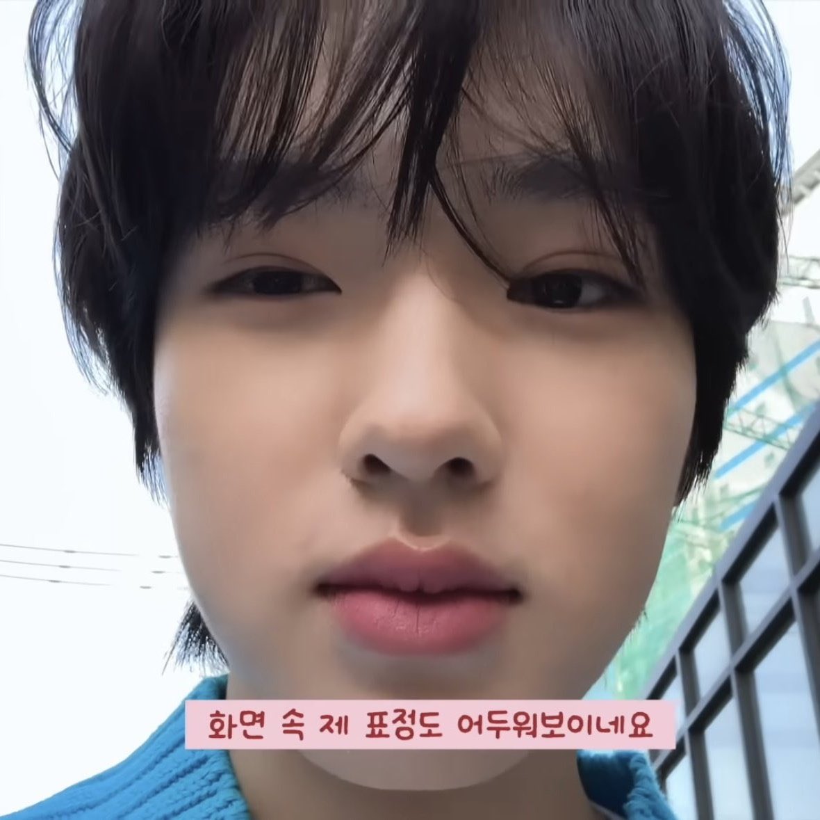 쇼숑 tweet media