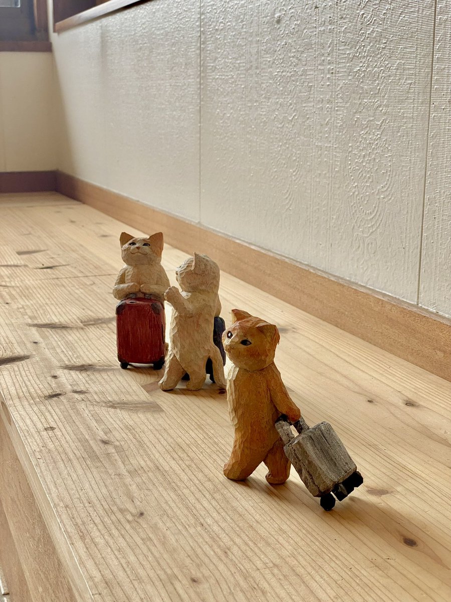 hanafusa_sakura's tweet photo. 旅する猫、空港にて。

\\ 保安検査場は早めに通過しようね // https://t.co/wIL6LGpAXJ