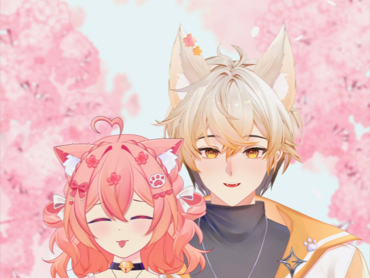Momochan 🩷🎀 tweet media