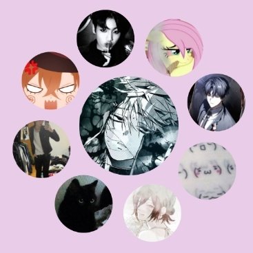 till of shedtwt tweet media