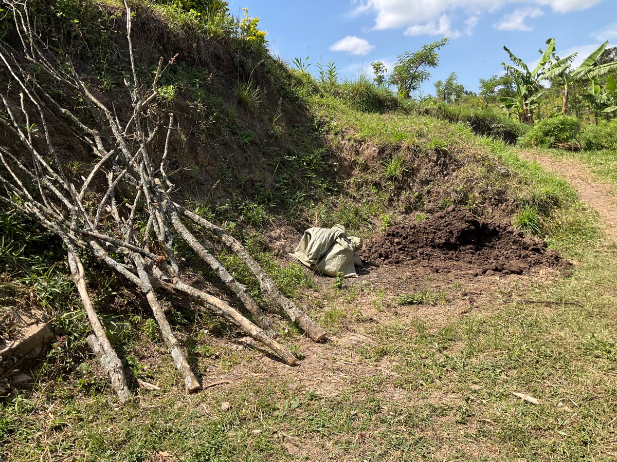 tomceze's tweet photo. #katanda
old coffee trees for fire wood
river sand in bags for nursery
cow dung for firtilizing
delivery on foot
#coffeeFarming https://t.co/NahElCZLtb