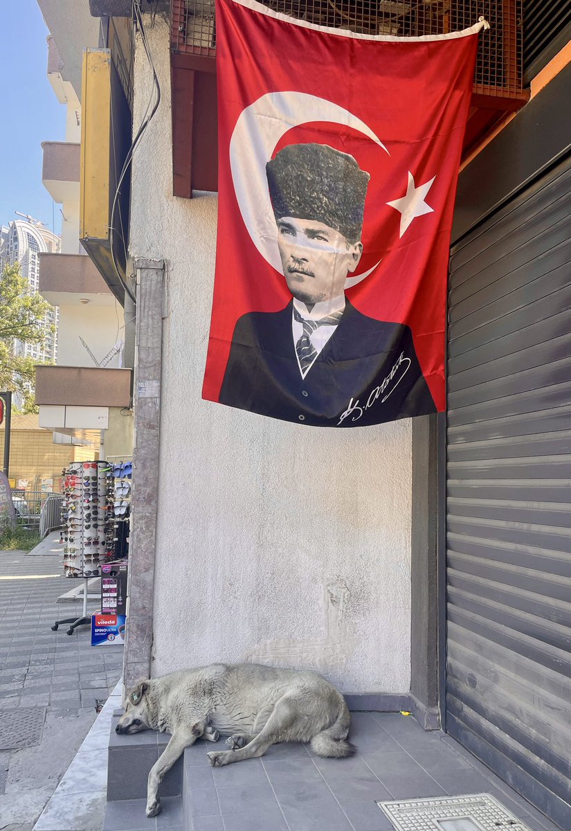 Engongeengoli's tweet photo. Gölgesinde güven,gölgesinde huzur var..
#MustafaKemalAtatürk https://t.co/BKkfnaNdC9