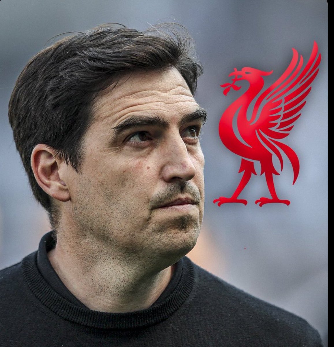 LFC__Klopp's tweet photo. ايراولا قد يكون مدرب ليفربول القادم ، قدم مع بورنموث مستوى محترم لكن عندي تحفظ على امثاله اللي يدربون اندية صغيرة وهوباا لأندية كبيرة ويتفاجئون بحجم الضغط والتعامل مع النجوم والخ ويفشلون لكن متأكد حيكون افضل من سلوت وياليت يجيبون معه كروبي وتكون افتتاحية جميله لصيفنا.☺️❤️ https://t.co/F68pDBQpkh