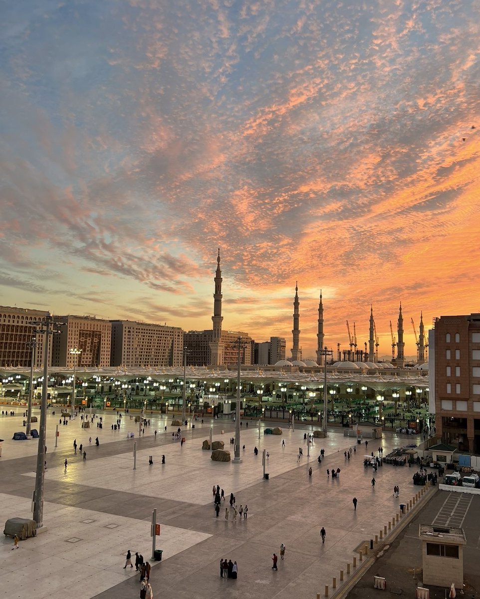 beautiful Arab tweet media