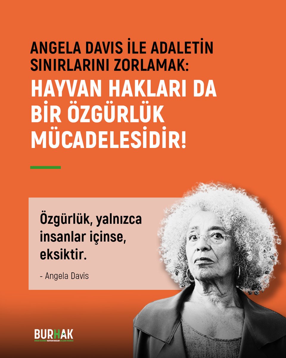 demirperde's tweet photo. https://t.co/2EMCCGG5B3
