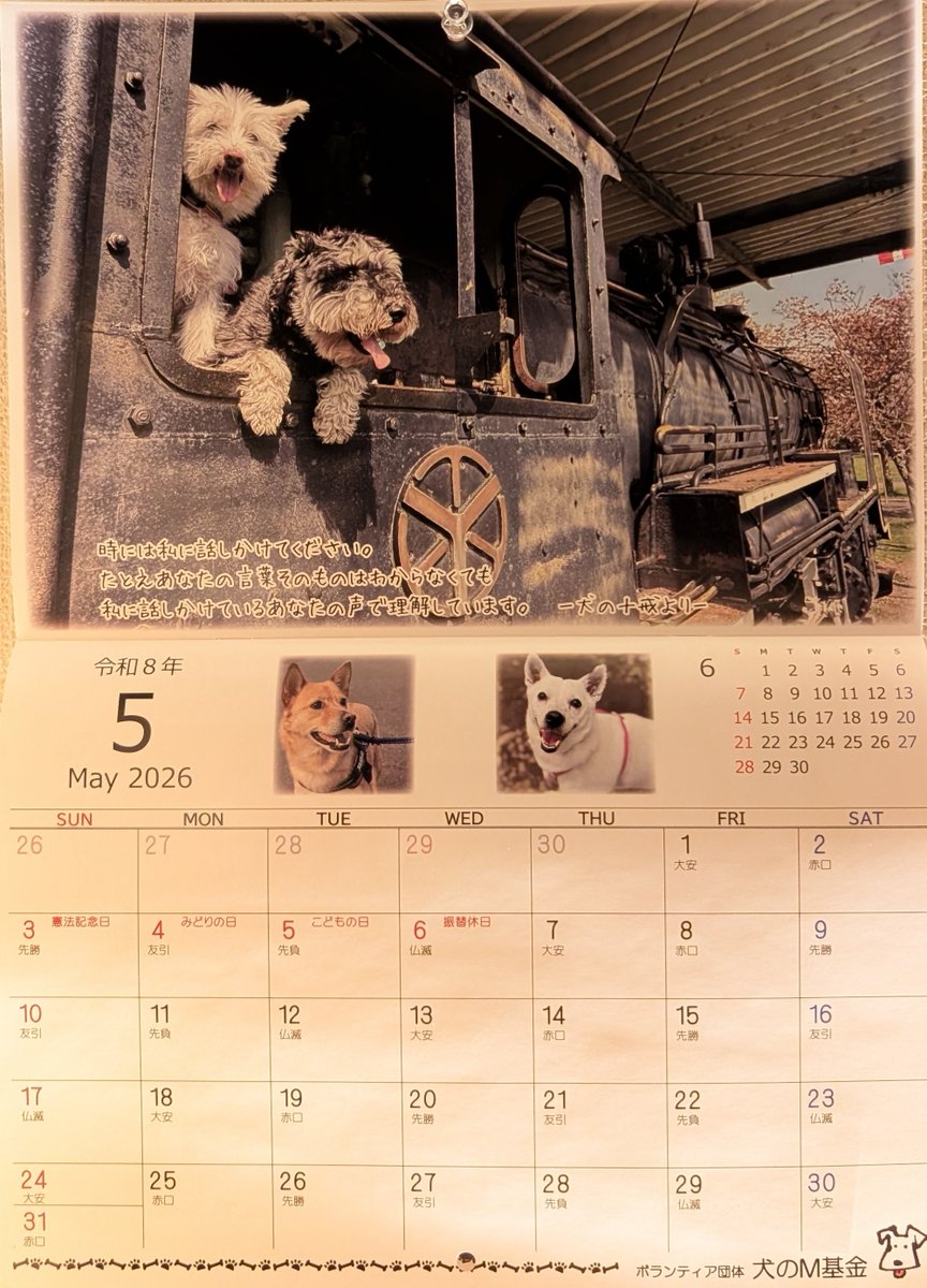 imolovesun's tweet photo. 犬のＭ基金さんのカレンダー 5月🗓

時には私に話しかけてください。
たとえあなたの言葉そのものはわからなくても
私に話しかけているあなたの声で理解しています。

犬の十戒より

#保護犬を家族に https://t.co/4QRr6PGstq