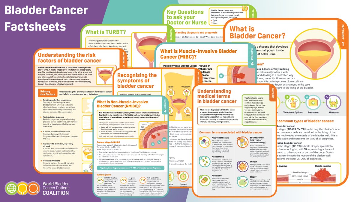 WorldBladderCan's tweet photo. This #BladderCancerMonth2026, save and share trusted information 💛

Our bladder cancer factsheets are designed to support awareness and understanding 🩺

Explore 👉 https://t.co/xlBrRf05Yu

#BladderCancerMonth26 #BladderCancer #GetChecked #BladderCancerAware https://t.co/tYN0XhgZ7j