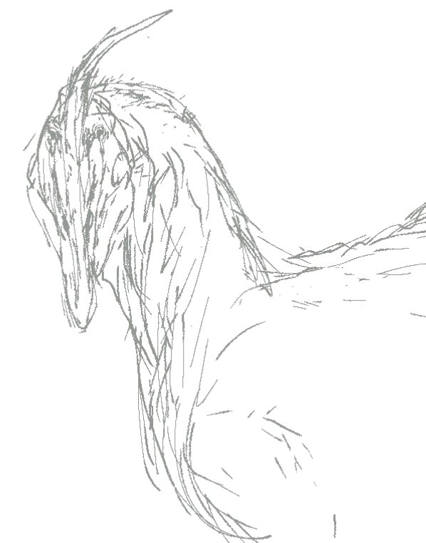 AGMARITUS_001's tweet photo. Hell heron https://t.co/66qh2JDYaB