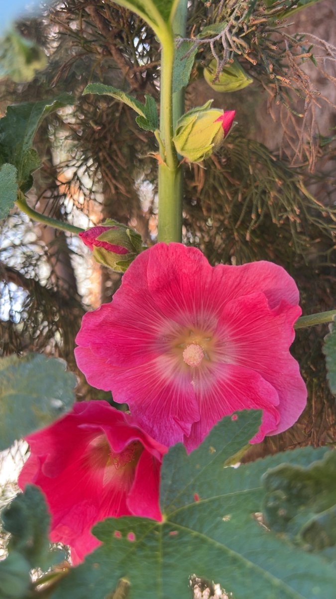 Kristen Welch tweet media