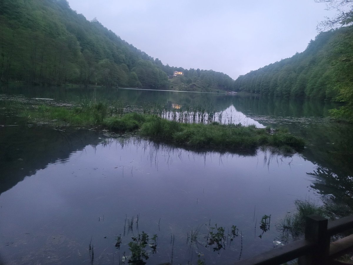 TurkerHALIM33's tweet photo. Yeşil ile mavinin, yeryüzü ile gökyüzünün birleştiği bir nokta: Ordu/Gölköy Ulugöl Tabiat Parkı.
#Karadeniz #doğa #kültür #Ordu https://t.co/SMgkfRAndv