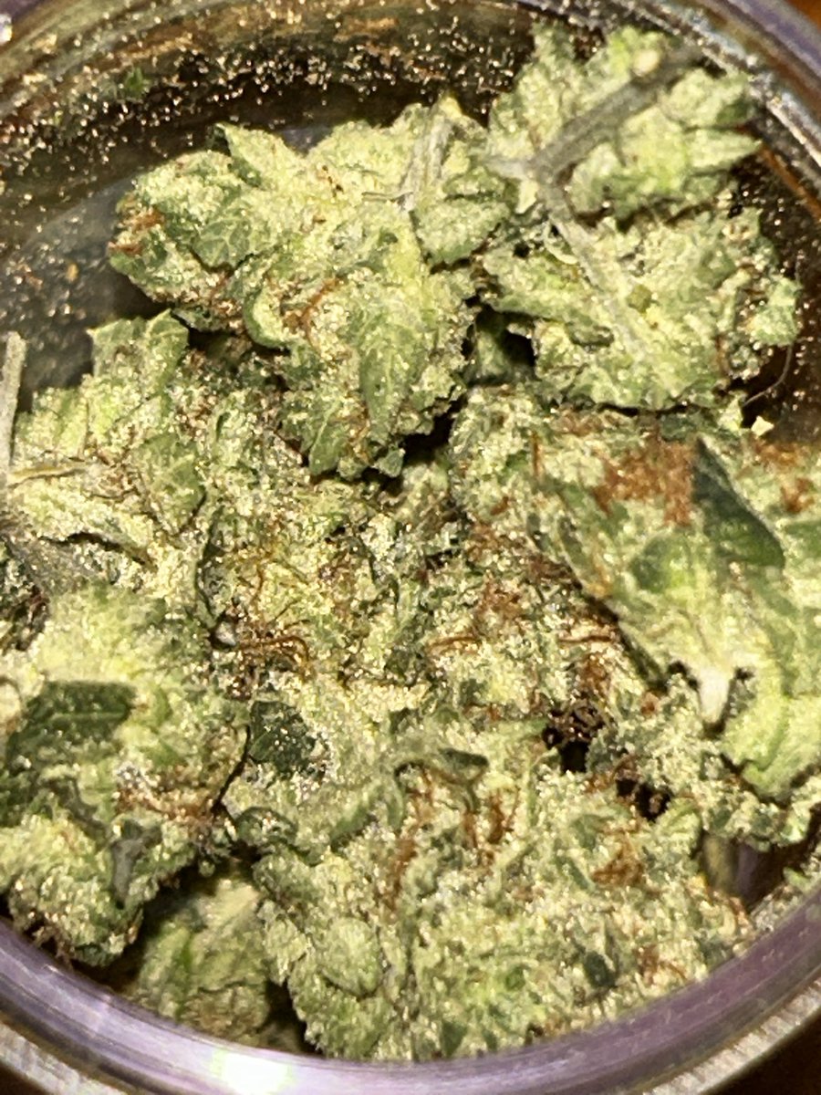 Pensativa tweet media
