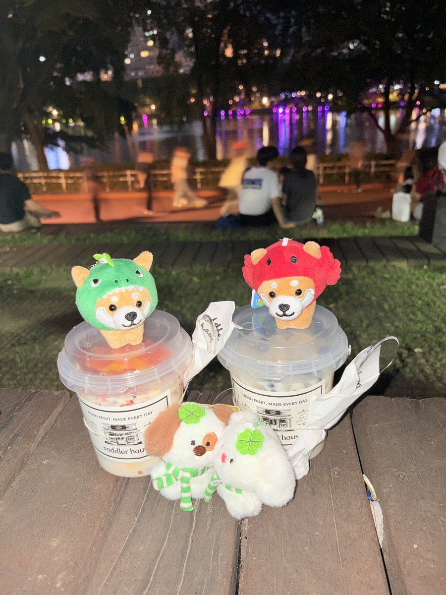 _kimechan's tweet photo. 걸스토크   ₊˚⊹ ᰔ···· https://t.co/029rG0GePT