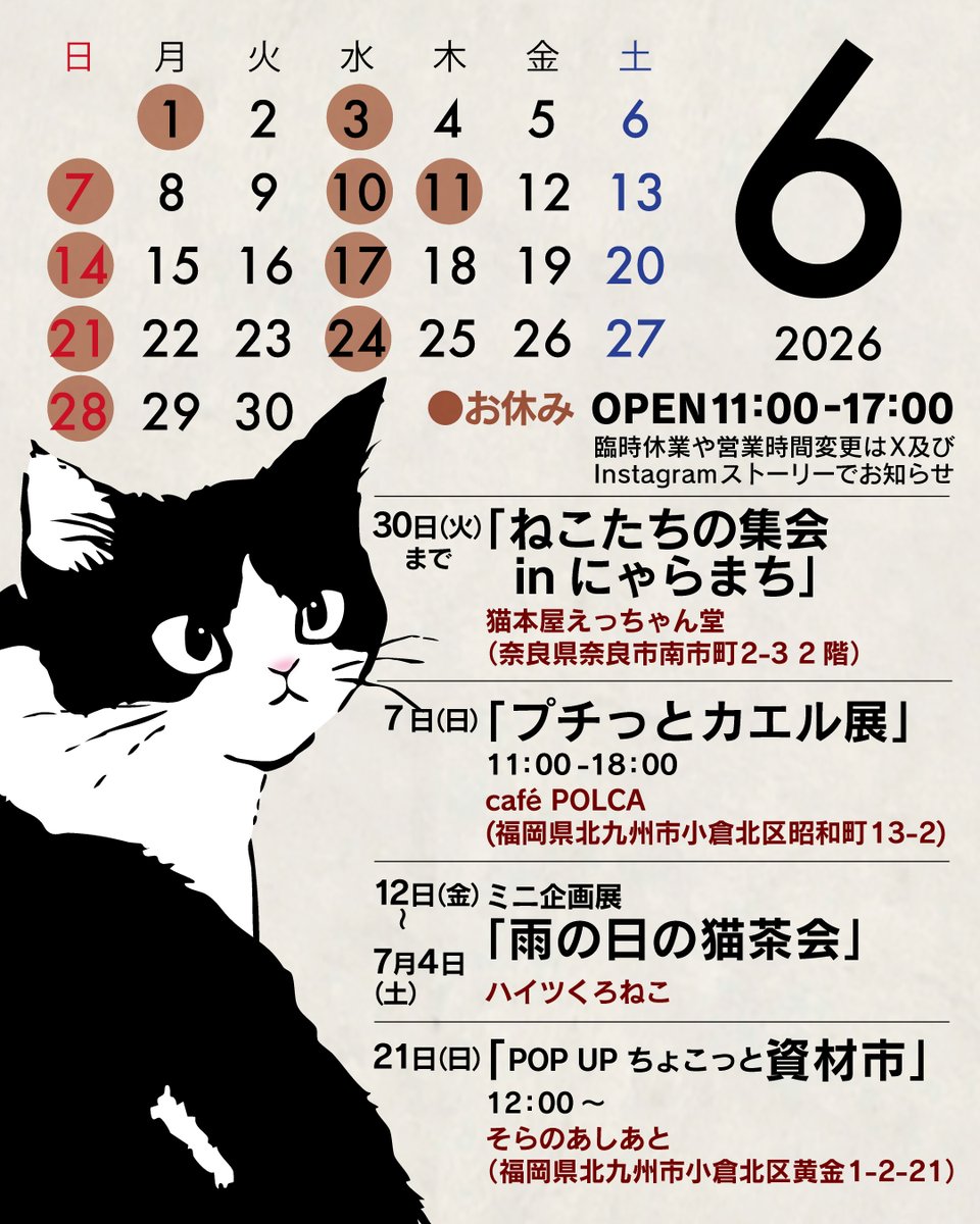 ハイツくろねこ2026年6月の営業日です// ミニ企画展が始まりますよ
