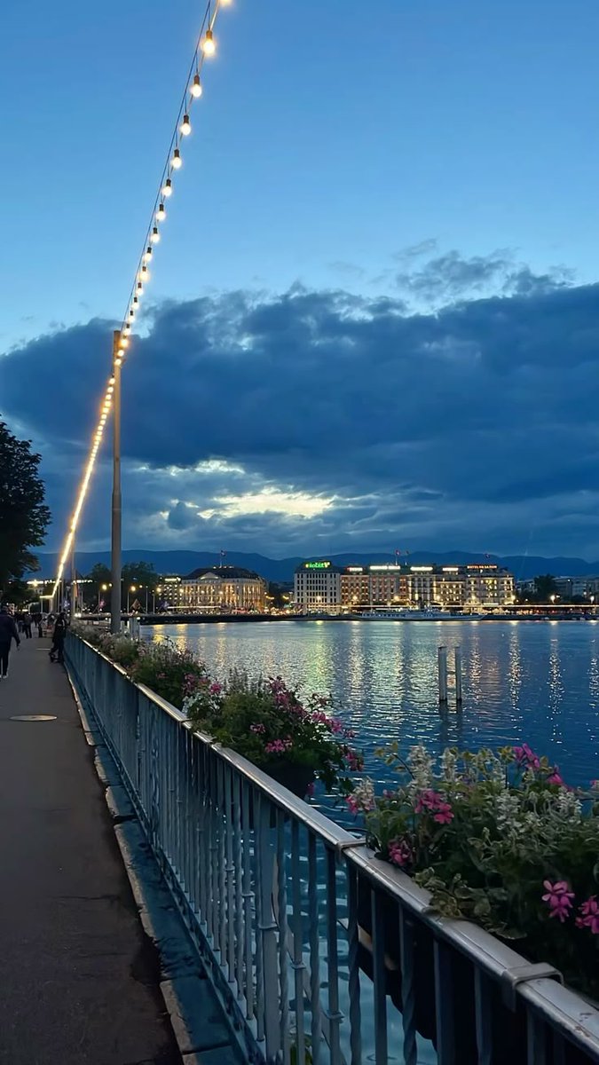 EliteEarthh's tweet photo. Night view of Switzerland, isn't it too pretty?? 😍 https://t.co/xSamgB19NL