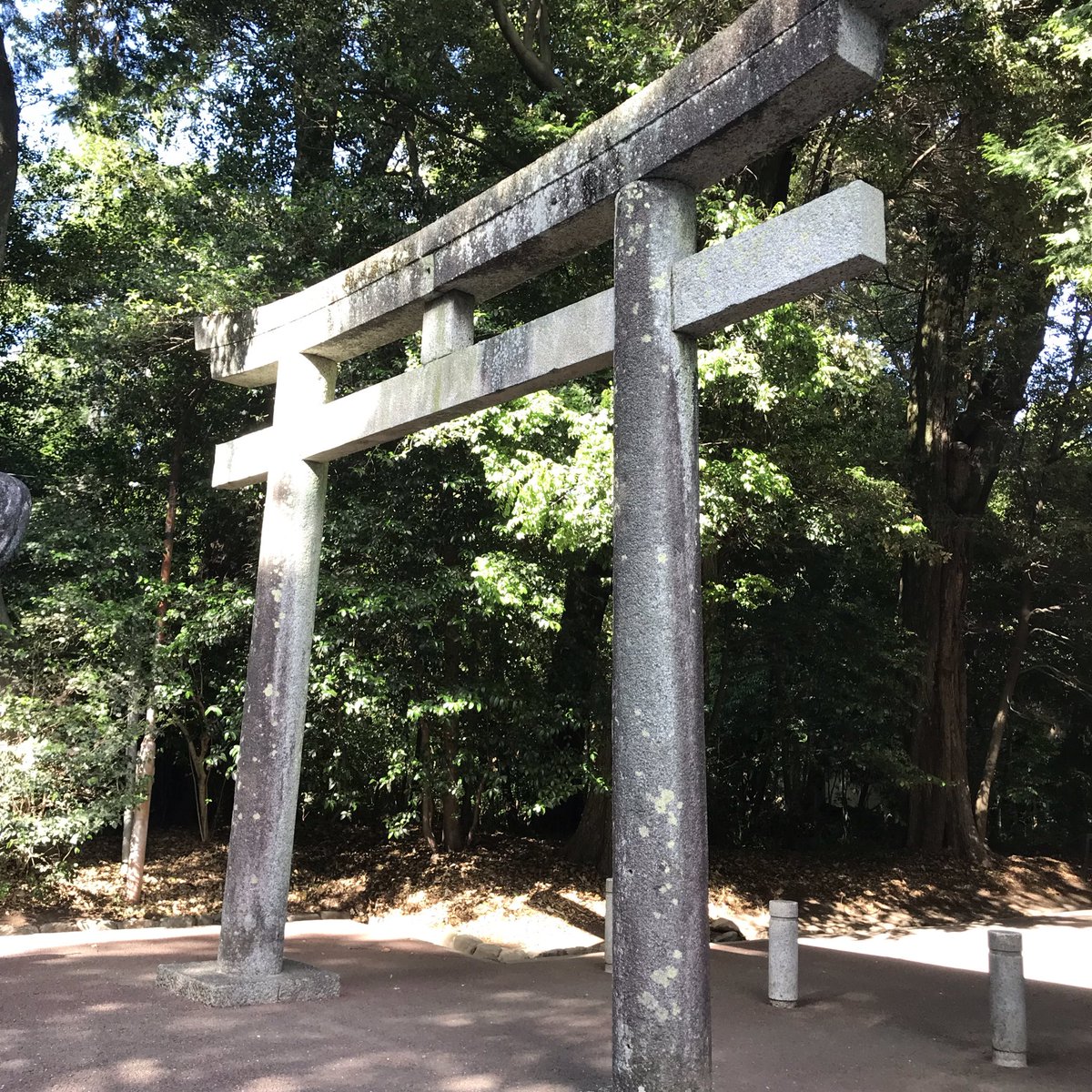 StandardBlue's tweet photo. 三河国一之宮 砥鹿神社
'26.5.30 https://t.co/suGVwDuC94