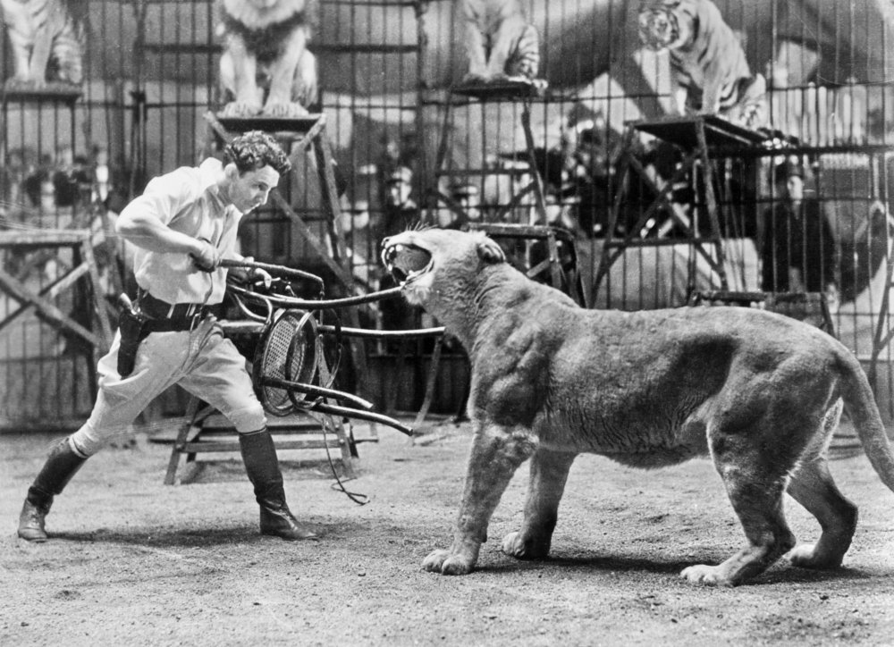 WhyNotLib's tweet photo. @carynannharlos If any time is left over, the convention could use a well-trained lion tamer as well. https://t.co/IVNOR7NPgN