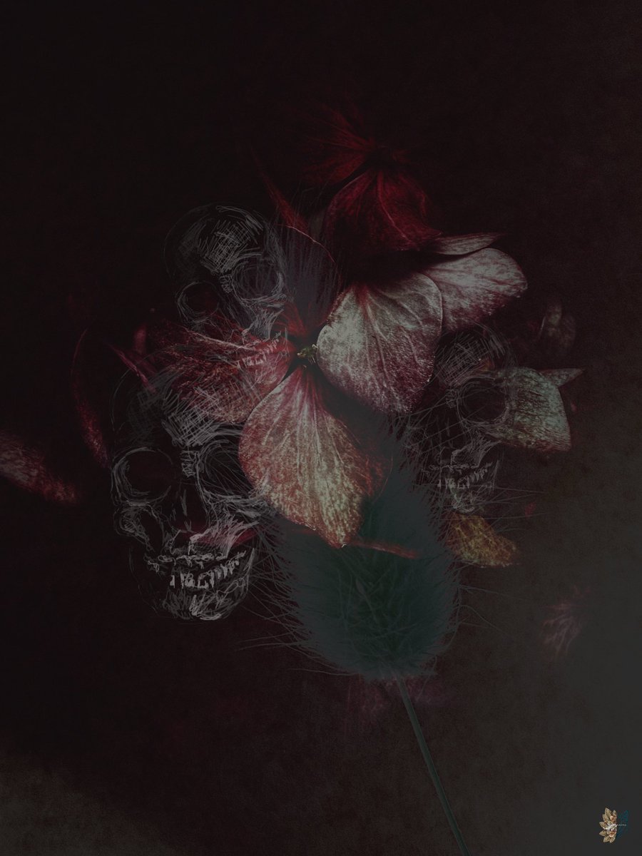 🌿𝔈𝔩𝔣𝔢𝔞𝔯𝔰𝔣𝔬𝔵𝔰𝔬𝔵🌿 tweet media