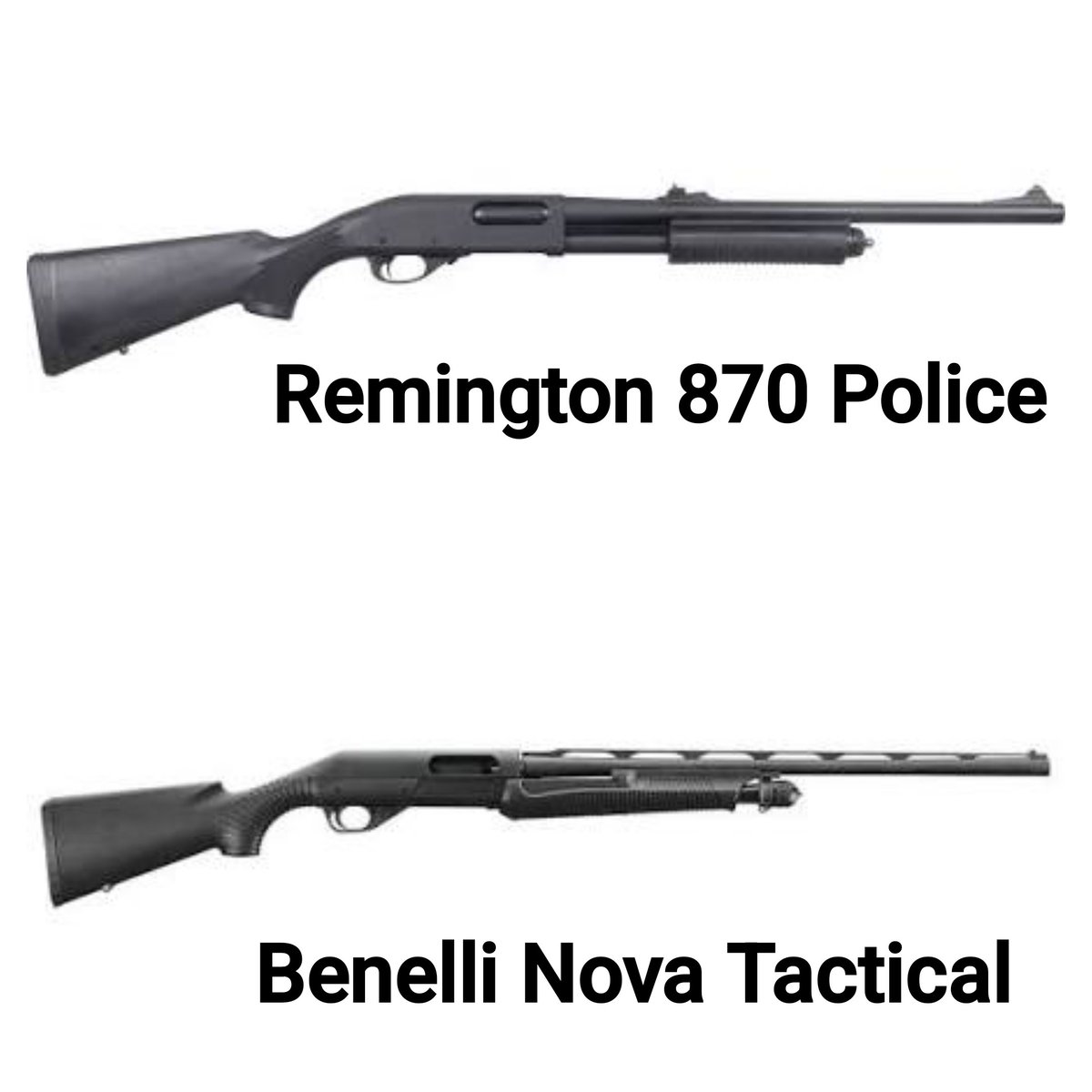 Gun Fanatics tweet media