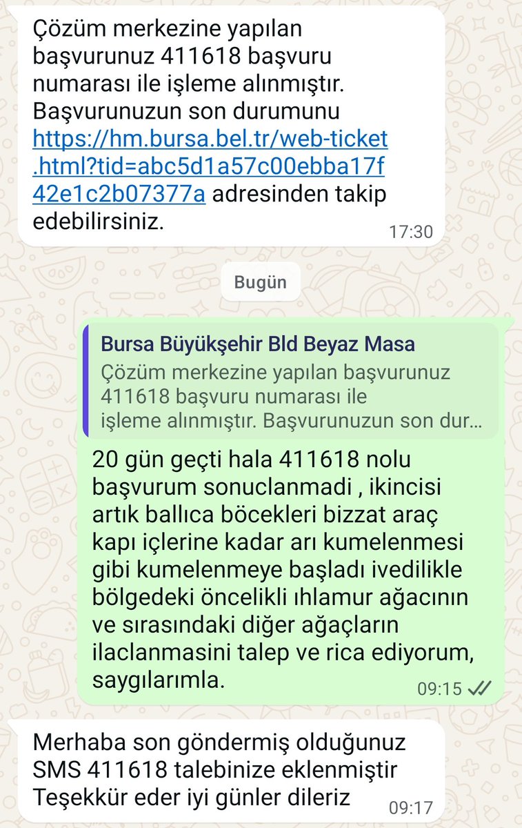 Doğan tweet media