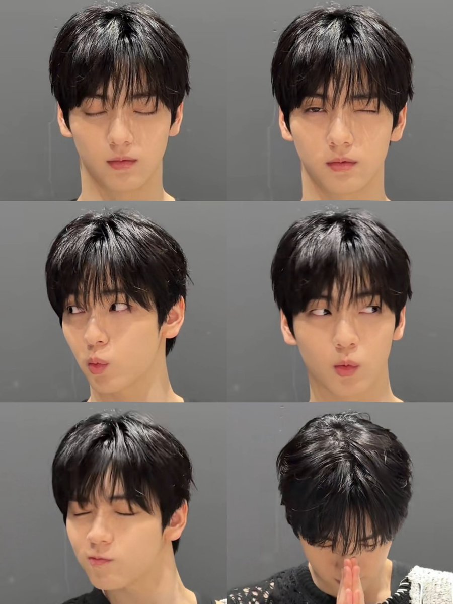 빵 tweet media