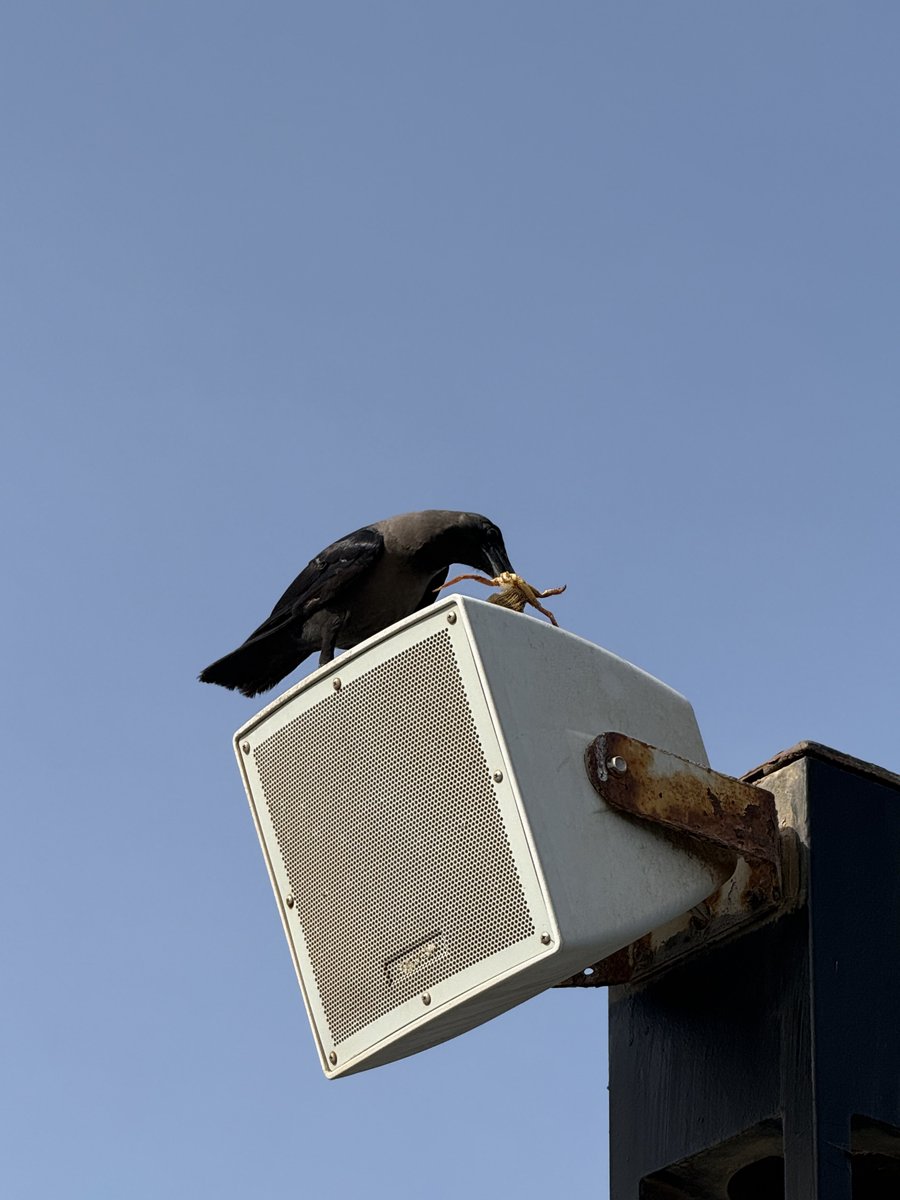 ⏾⋆.˚ tweet media