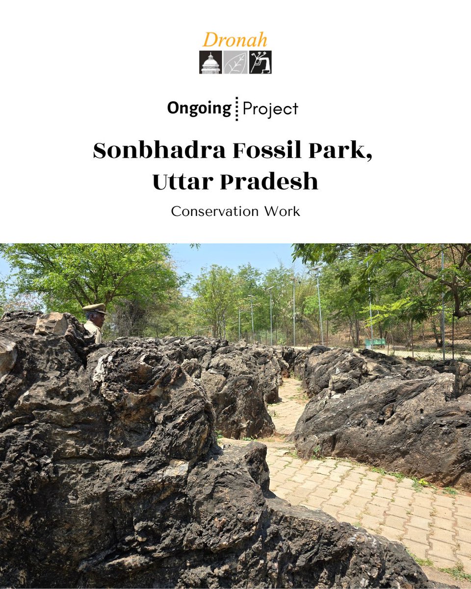 Dronah2's tweet photo. We are partnering with @uptourismgov to prepare the UNESCO World Heritage Nomination Dossier &amp; Management Plan for Sonbhadra Fossil Park! At 1.4 billion years old, it’s one of the world's oldest fossil sites.

Let's bring global recognition to UP's geological marvel! https://t.co/1y4X6dl4F0