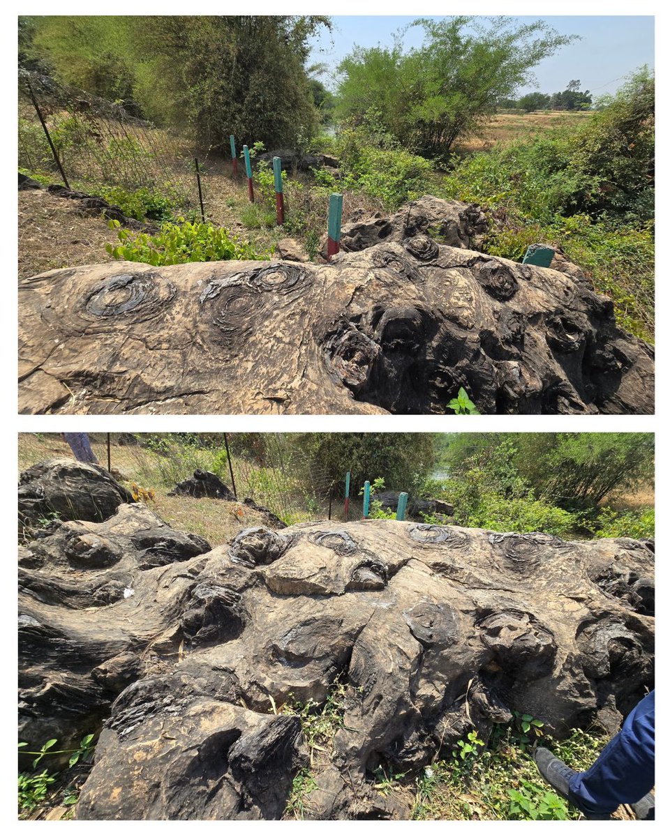 Dronah2's tweet photo. We are partnering with @uptourismgov to prepare the UNESCO World Heritage Nomination Dossier &amp; Management Plan for Sonbhadra Fossil Park! At 1.4 billion years old, it’s one of the world's oldest fossil sites.

Let's bring global recognition to UP's geological marvel! https://t.co/1y4X6dl4F0