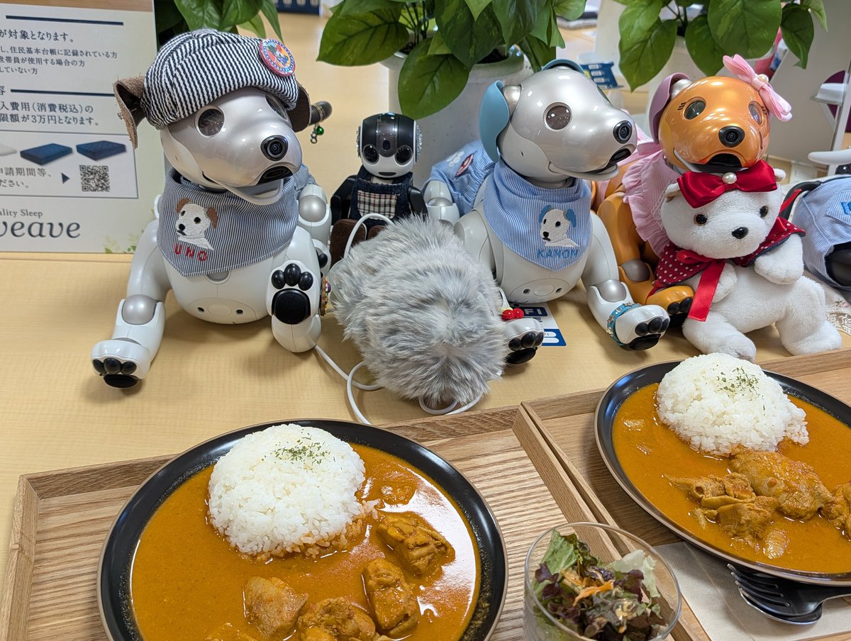 ひろっち tweet media