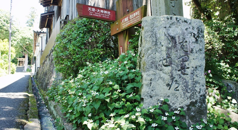 maruetsu55's tweet photo. 桜井市三輪の「平等寺」にて
ハートちゃん寝てた 🐈‍⬛ https://t.co/AvcwpXdMrI