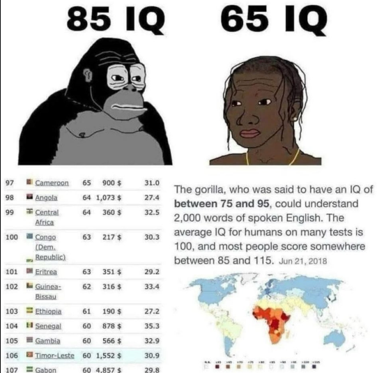 Skeletonalios tweet media