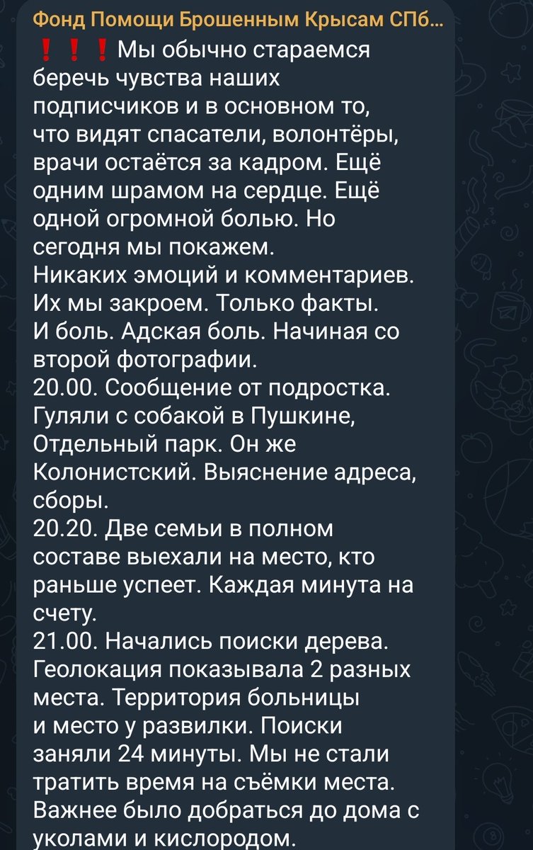 rats_ambassador's tweet photo. В крысосообществе очередной пиздец❗❗❗
В Питере над крысами поиздевалась с особой жестокостью и выкинули, 4 из 5 живы.
Тгк фонда https://t.co/kwjmNqHwgN
Волонтёры просят огласки, пишут обращения https://t.co/XOXG4AmHoA
Тексты для обращений есть в тгк https://t.co/KqJKCVZoxO https://t.co/H4yVYm2ibH