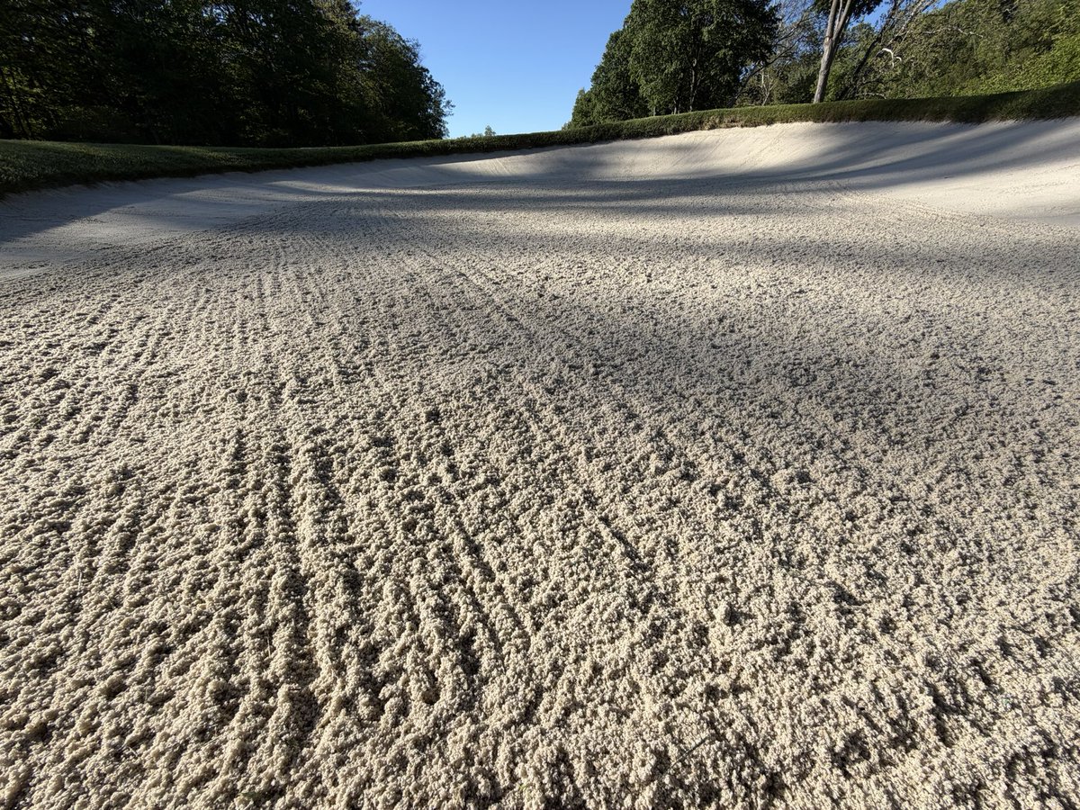LHCC Grounds tweet media