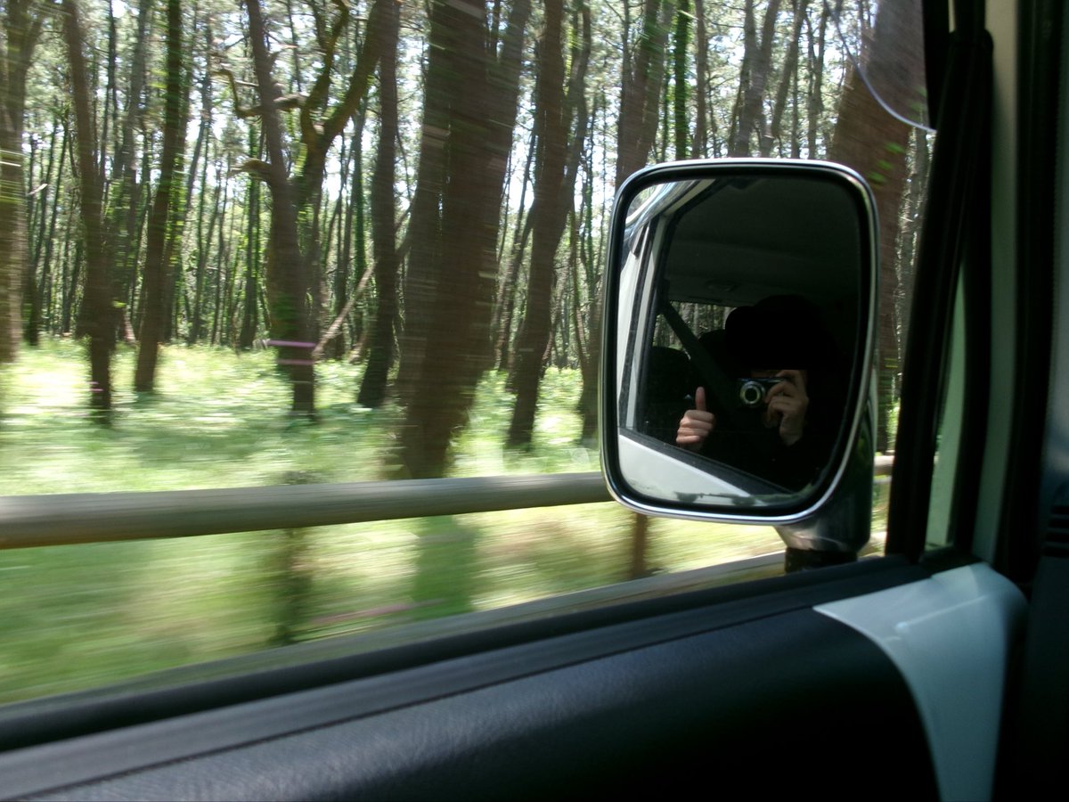 nerutti_com tweet picture