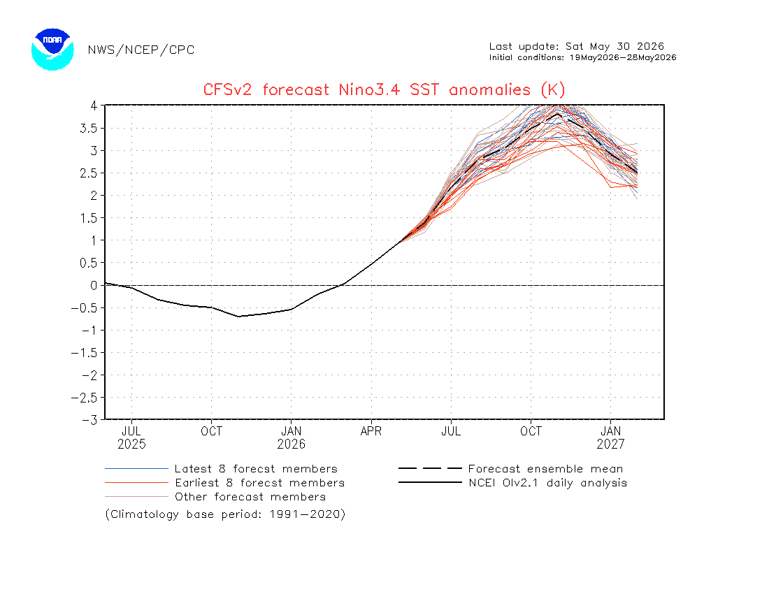 gaurav_kochar's tweet photo. 🚨 Extraordinary El Niño signal emerging?

Today’s CFSv2 update (30 May 2026) for the Niño 3.4 region is raising eyebrows.

📈 Ensemble mean (black line): ~+3.8°C
🔥 Latest members (blue lines): breaking above +4.0°C

If such projections hold, this would point toward an extremely powerful El Niño event — well beyond normal thresholds.

The atmosphere–ocean system may be heading into dangerous territory.

What does this mean for India’s monsoon, global heat, droughts, floods, agriculture & food markets?

The world is watching.