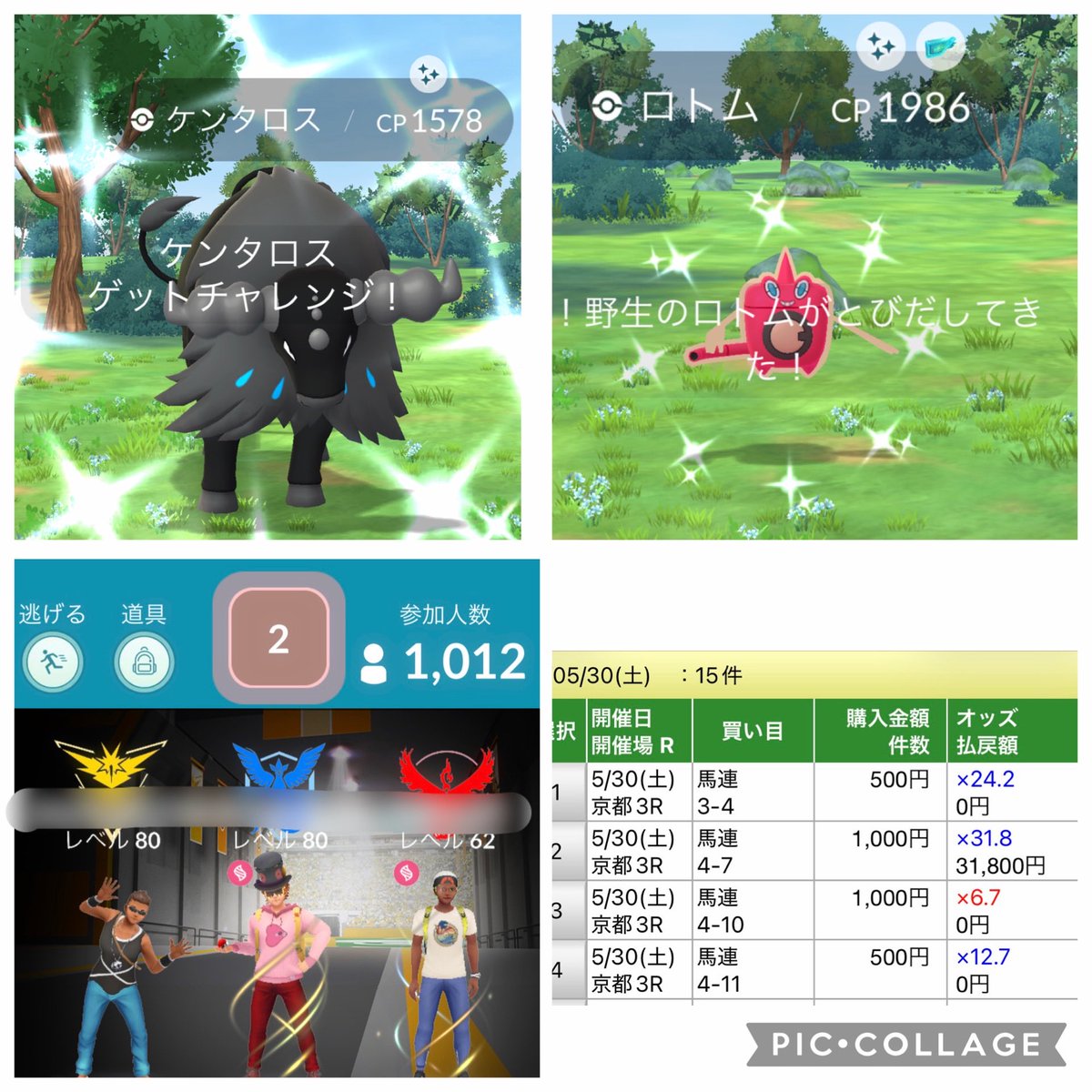 ALC12do's tweet photo. 楽しい1日でした〜✨
ポケモンさん、スタッフさん、フレンドさん、西村淳也さん🏇、ありがとうございました🙏

ユニティレイド（CPのブーストかかってた）は、勇気を出して誰よりもスマホを高く掲げるもチーン😇

補填が高個体という結果でしたが、ナイアンさんブースト忘れてる〜😅

#ポケモンGO https://t.co/fgC8NUohCy