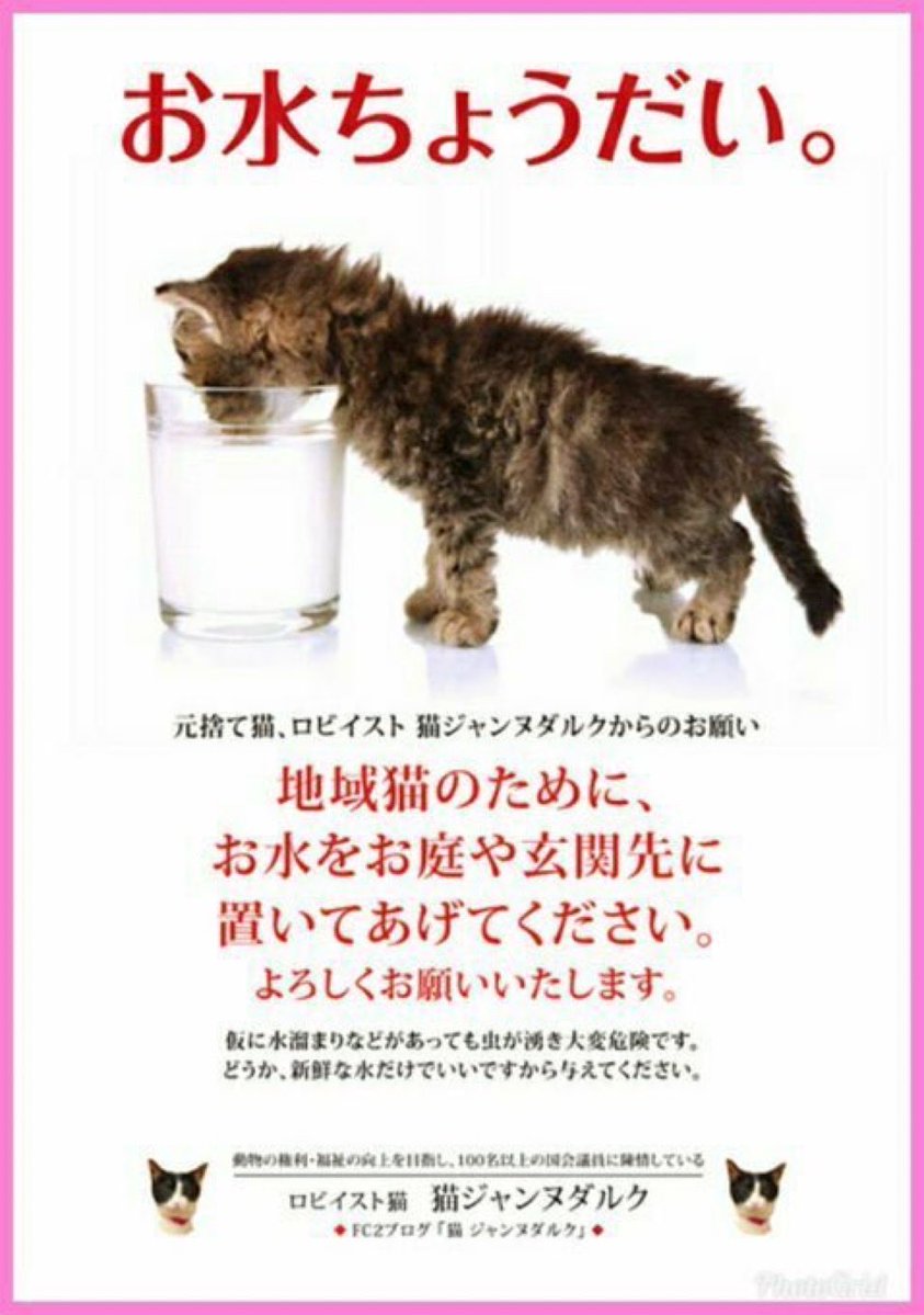 ジン太郎 tweet media