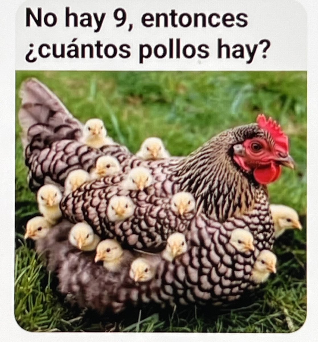Ramon Rodriguez tweet media