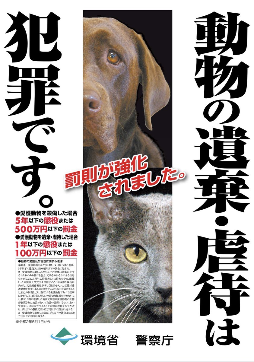 ジン太郎 tweet media
