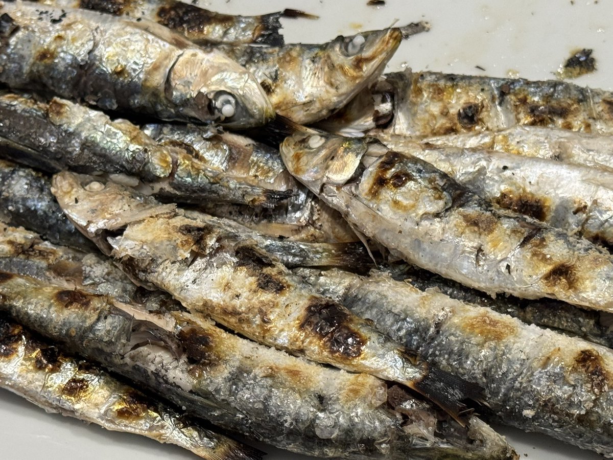 divillavive's tweet photo. Sardinas de Mazarrón a la brasa, mar en el plato y verano en cada bocado. 🐟🔥

Hay comidas que alimentan… y otras que te recuerdan por qué merece la pena vivir cerca del Mediterráneo.

#Mazarrón #SardinasALaBrasa #RegiónDeMurcia #GastronomíaMurciana  #BuenProvecho #Murcia https://t.co/AdMpfHNCJs