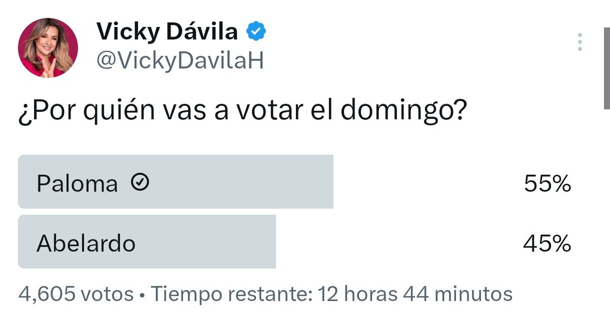 RoaSa77's tweet photo. A la desleal de Vicky le está saliendo mal está encuesta, vamos a ganar 🕊️⚡ #PalomaPresidenta https://t.co/VupxV9lZXg
