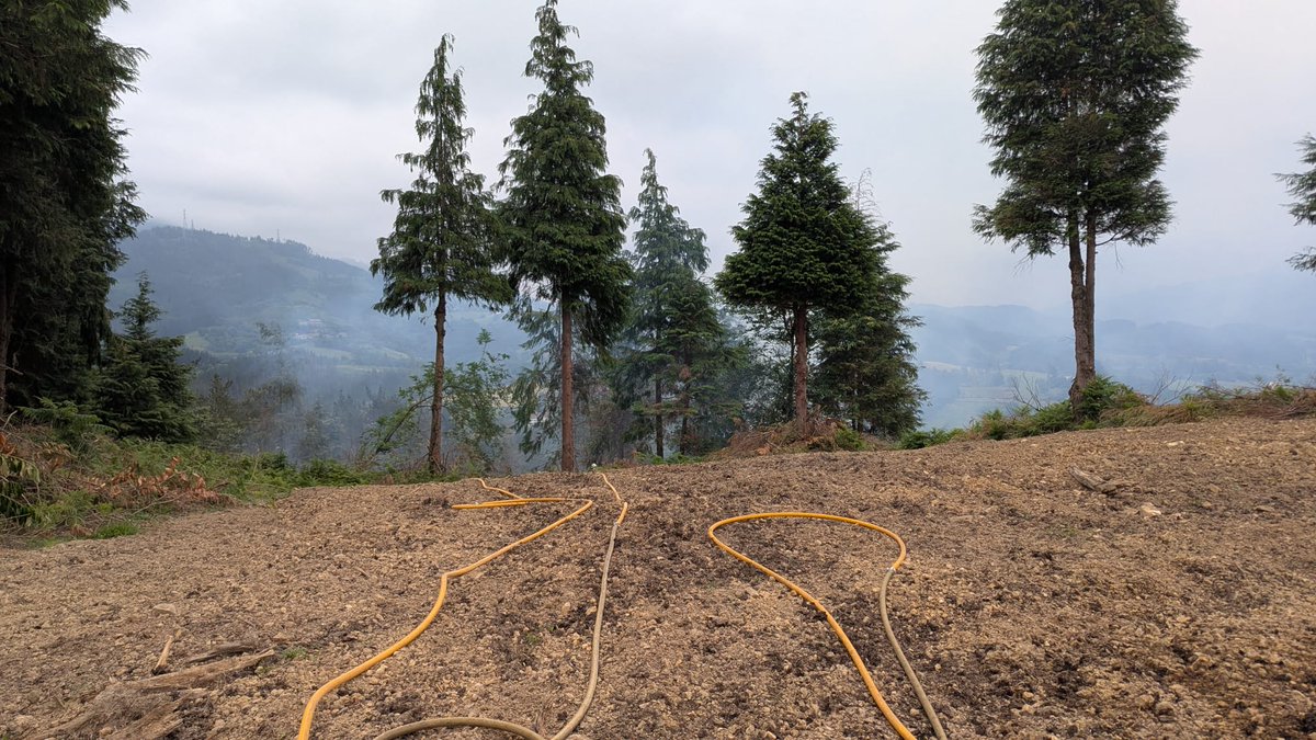 BomberosIurreta's tweet photo. Fuego forestal en momoitio, #garai baso sutea @BomberosBizkaia @BomberosEuskadi @guredot_dotb @durangondigital @anboto https://t.co/dQKiIhjT84