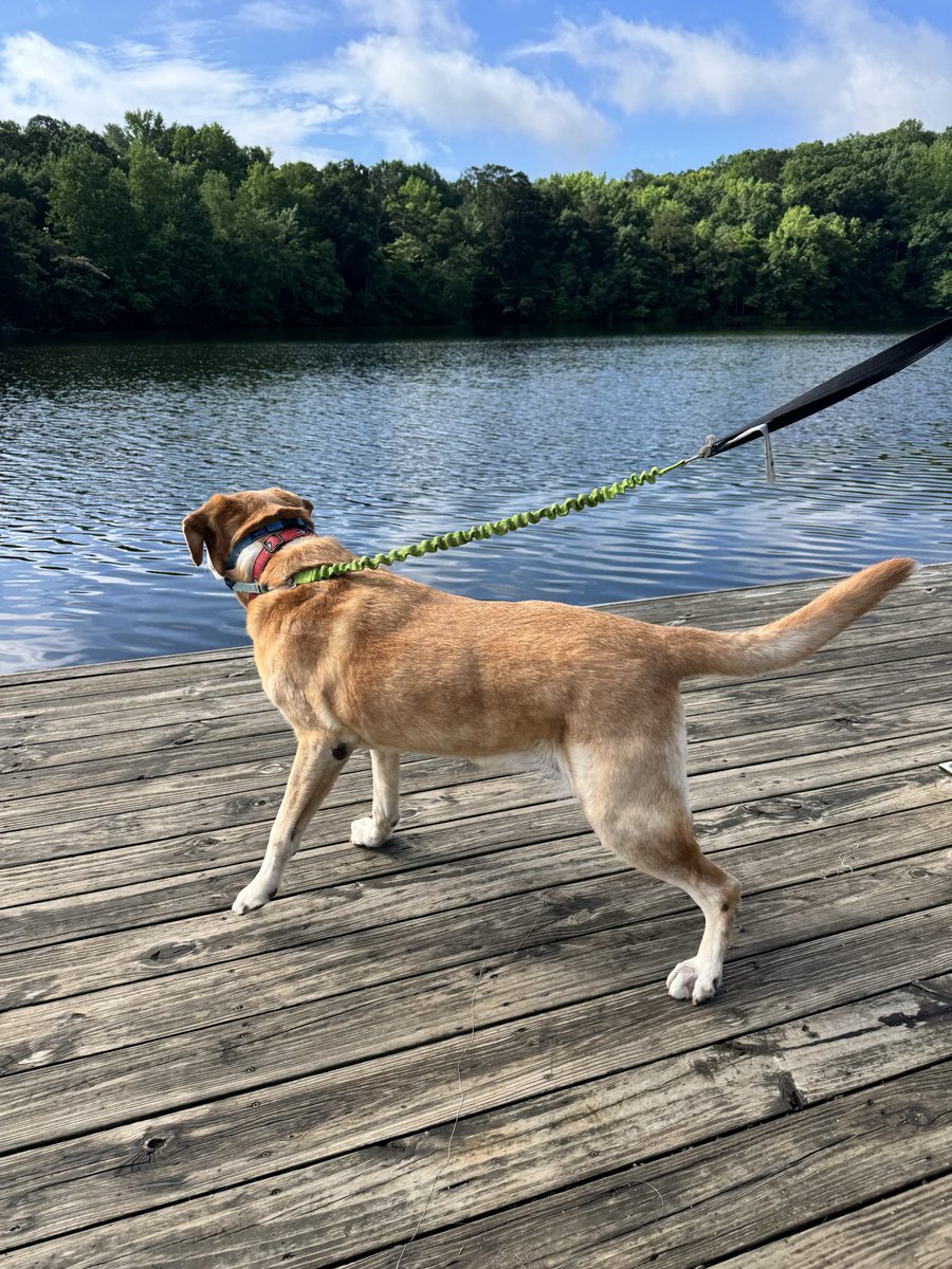 KathyBangle's tweet photo. Jeff and I are walking M at the IM fields while listening to the DAWGS with @jeffdantzlertv and @djohnstonuga  ❤️🖤 https://t.co/nQ8b4AtUar
