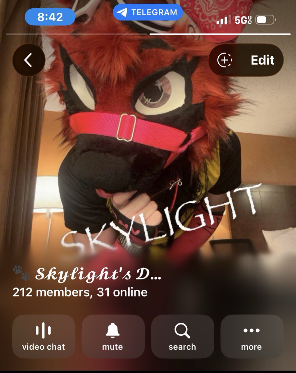 Skylight 🔜 DENFUR tweet media