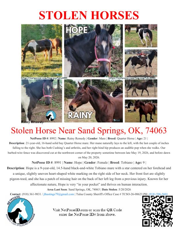 netposse's tweet photo. Stolen Horse named Rainy Remedy - Sand Springs, OK, 74063 #8992 https://t.co/IqyAohApHr https://t.co/2QgPKQDvYa