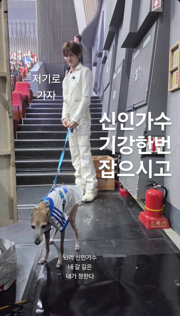 노딩 tweet media