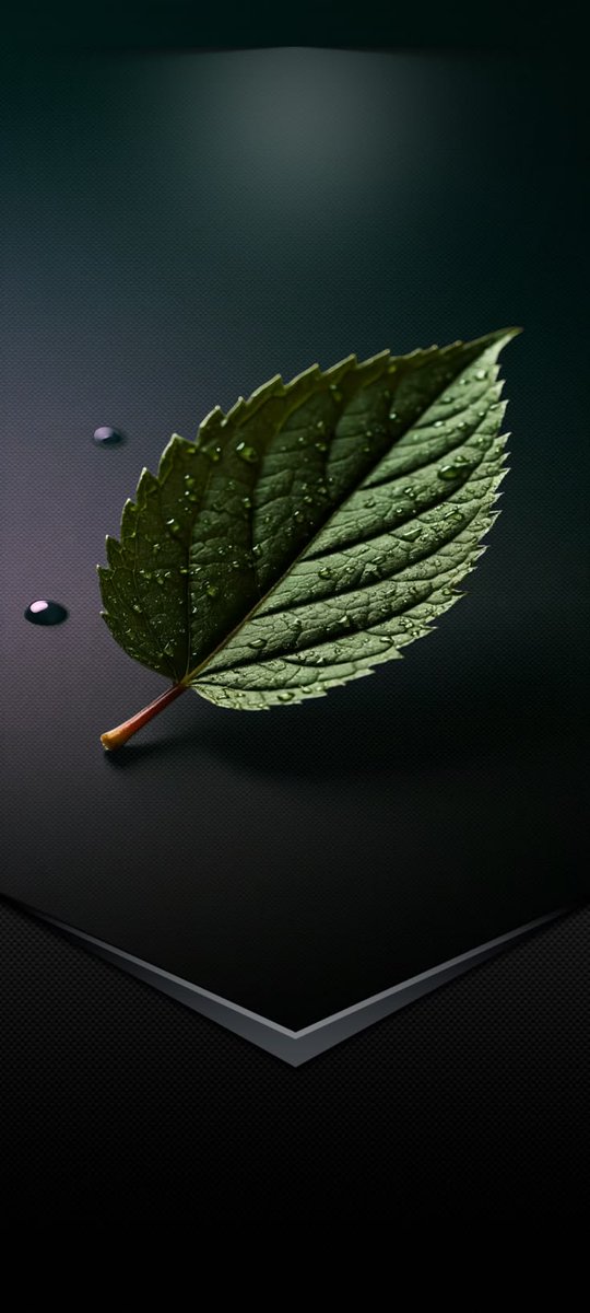 alfger_'s tweet photo. #حقيقه_يجب_ان_تدركها
الإنسانُ جلّادُ نَفسه
يَصعبُ عليهِ فراقُ الأشيَاء الَّتي تُوجعهُ ! https://t.co/PTw8WWOQVv