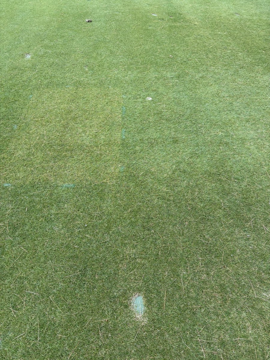 mternullo30's tweet photo. Spent time with @MolassesKings this week, talking with customers and introducing the benefits of molasses. Saw this check plot at one stop, no N, no other FE, just 1 app of Sweet Heat in a tank mix 10 days prior. Really solid, authentic &amp; sustainable color without any top growth https://t.co/0EvgZi1Bho